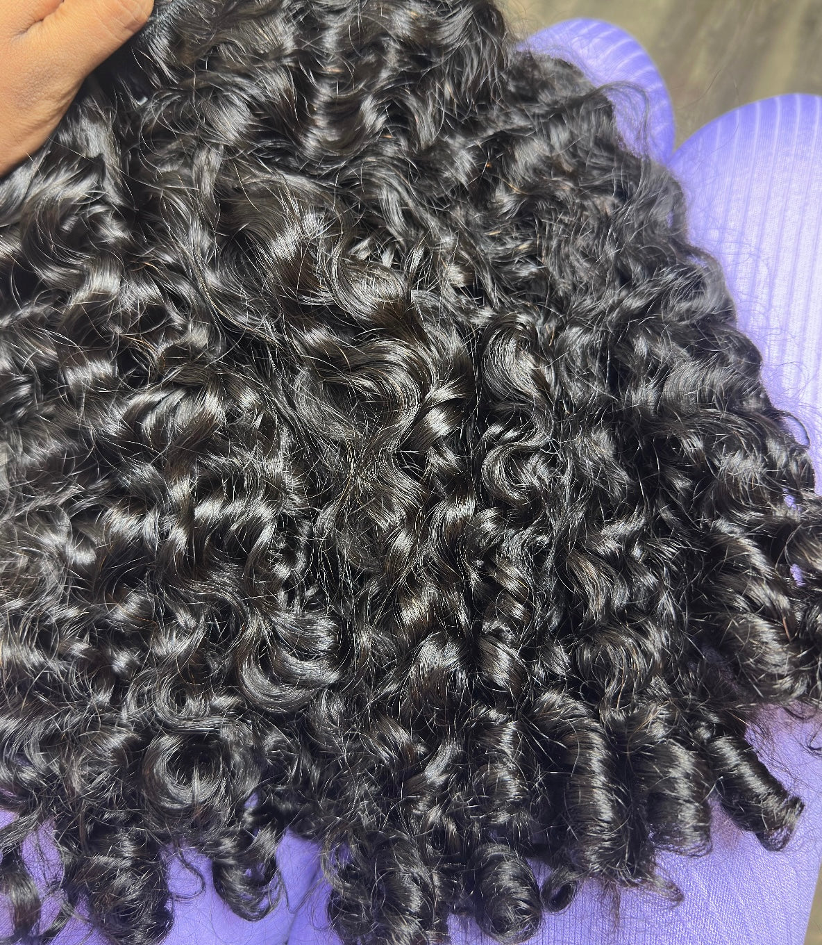 Burmese Curly