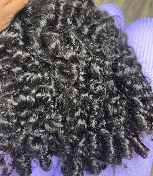 Burmese Curly